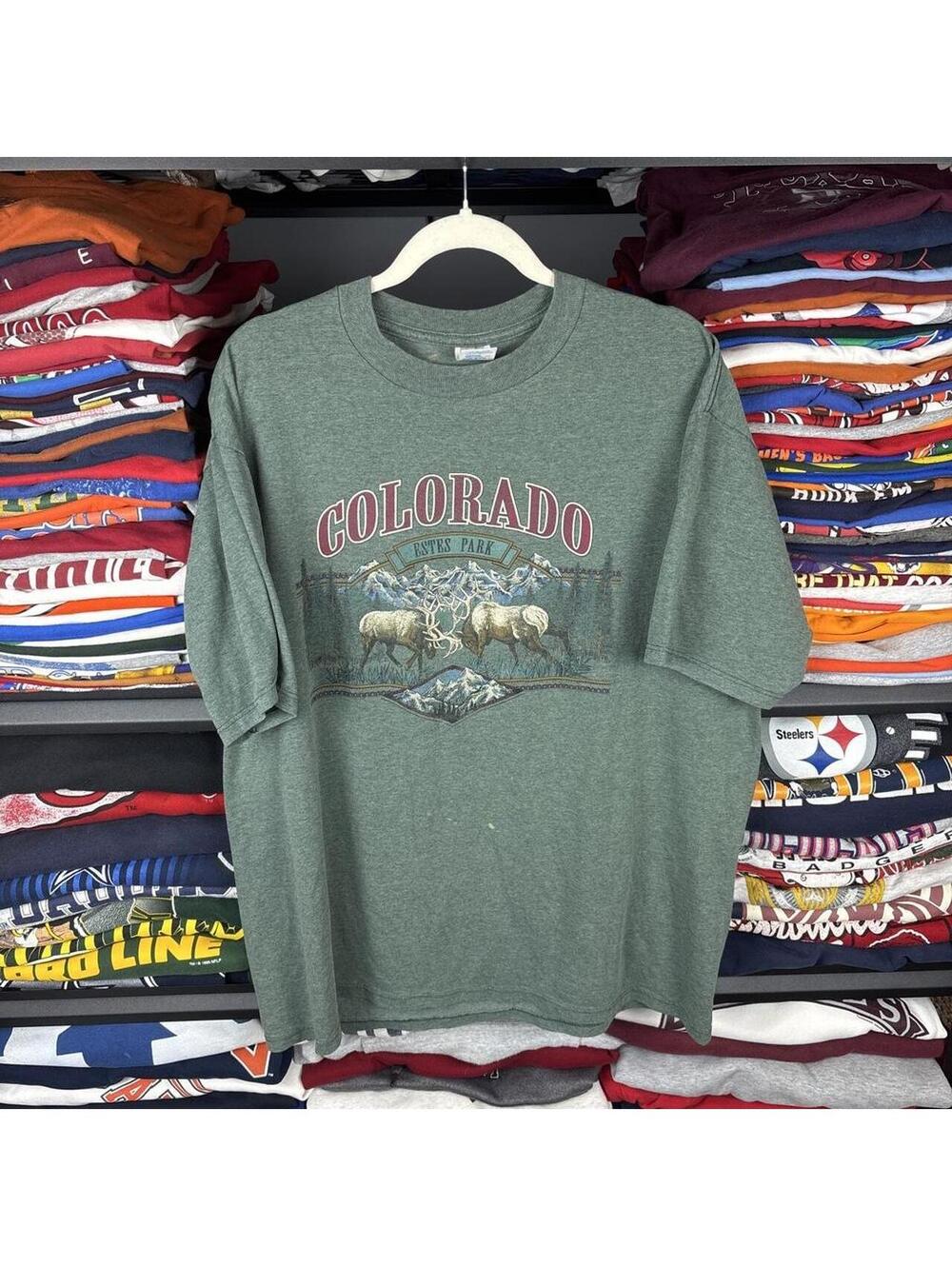 Vintage 90s Colorado Estes Park Elk T-Shirt Jerzees Sage XL